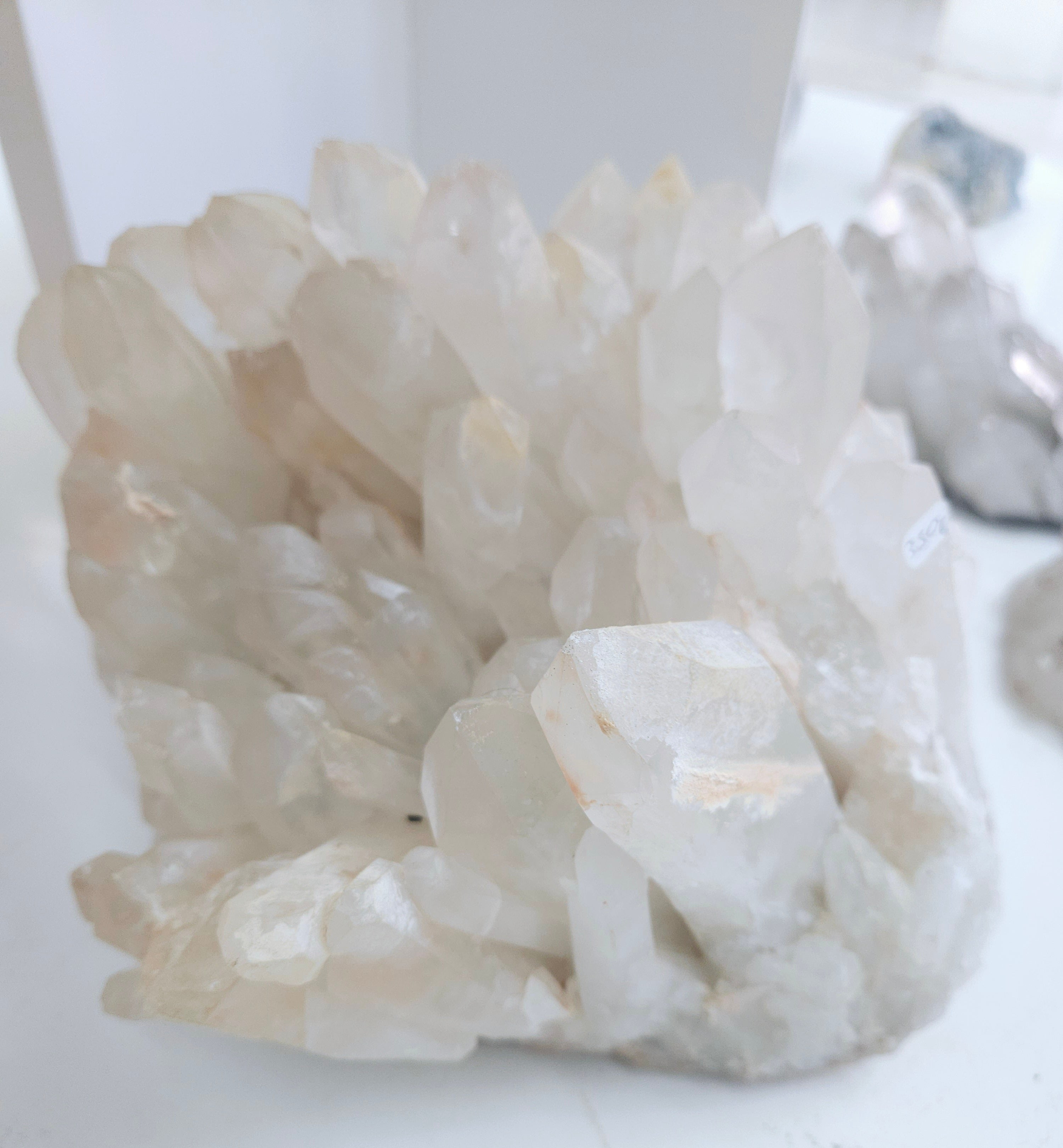Amas de Quartz - Cristal de Roche (pièce unique)
